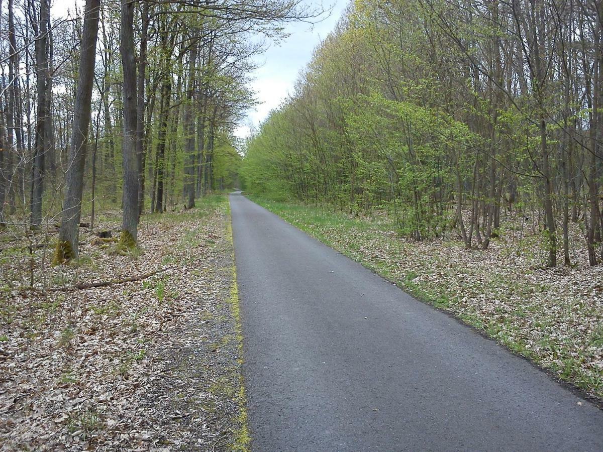 Ferienwohnungen 3 Birken Briesen  Zewnętrze zdjęcie
